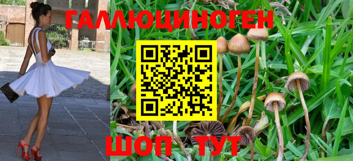 Галлюциногенные грибы Psilocybine cubensis  магазин продажи наркотиков  Борисоглебск  Вход с VPN 
